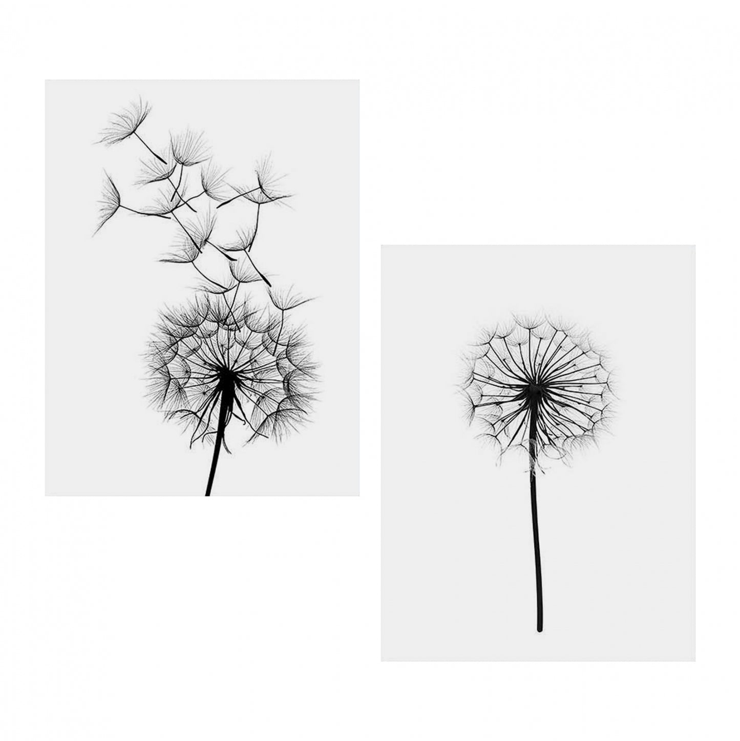 Canvas 2 piece set MDF Dandelion HM7203.02 60x40x2,7 cm.