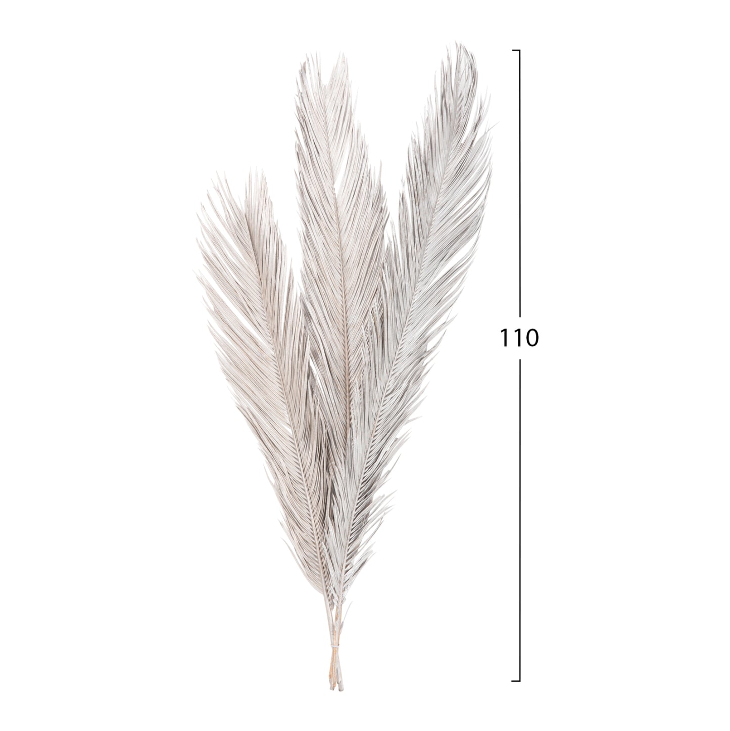DECORATIVE DRIED 3-LEAF SET OF PALM TREE ΗΜ7957 SILVER 1120Hcm.