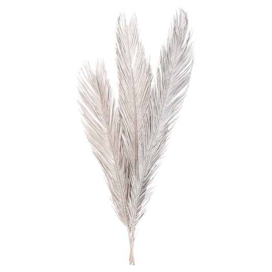 DECORATIVE DRIED 3-LEAF SET OF PALM TREE ΗΜ7957 SILVER 1120Hcm.