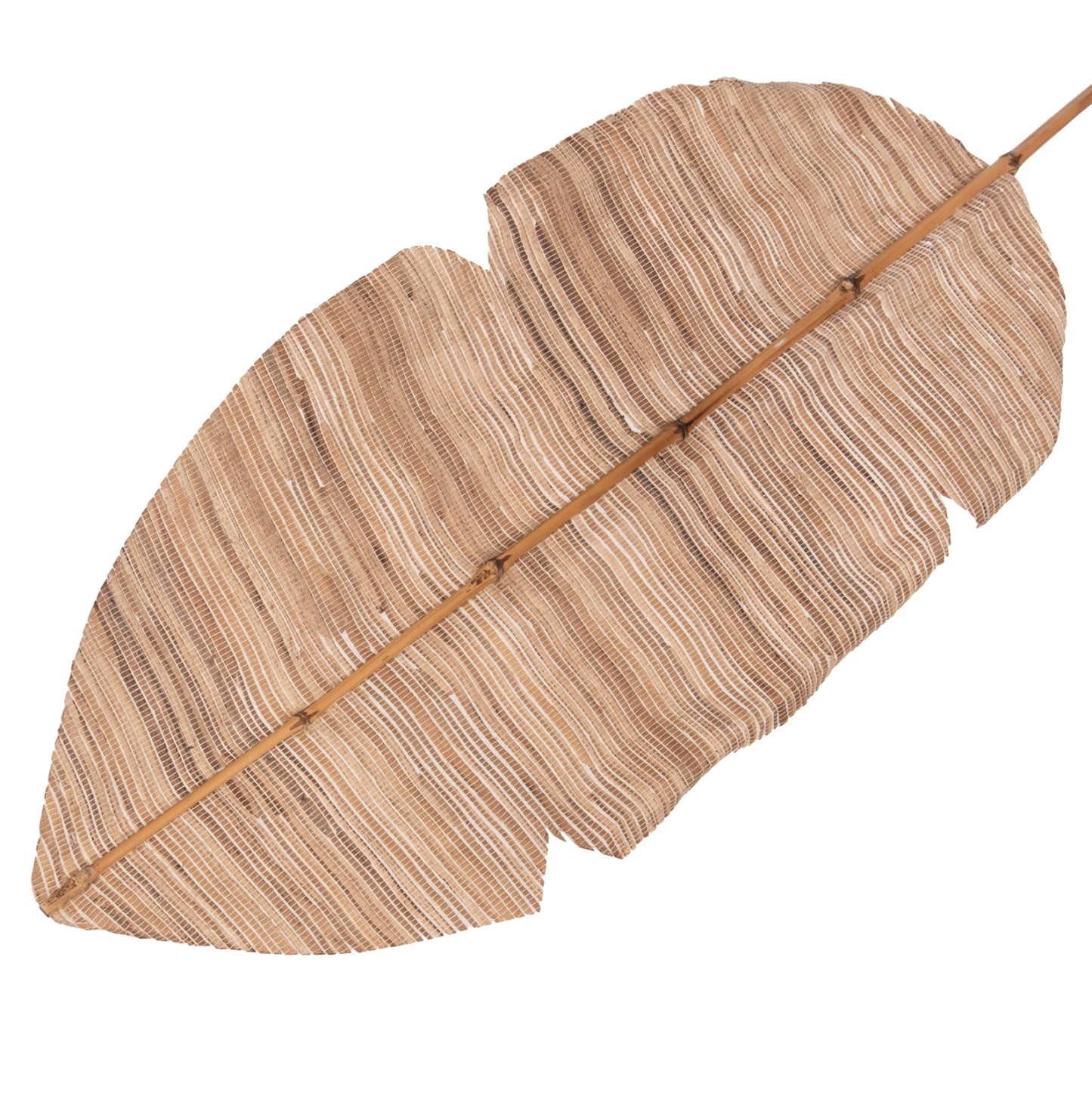 DECORATIVE LEAF ΗΜ7873 WATER HYACINTH IN NATURAL COLORING 32x200x3 cm.