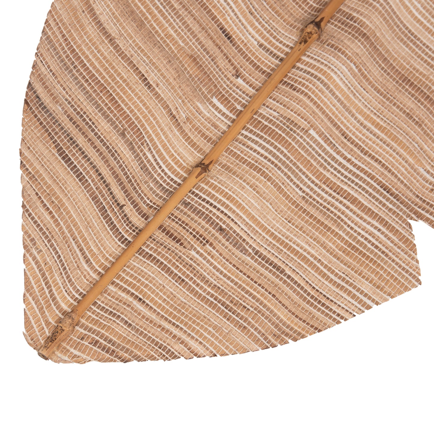DECORATIVE LEAF ΗΜ7873 WATER HYACINTH IN NATURAL COLORING 32x200x3 cm.