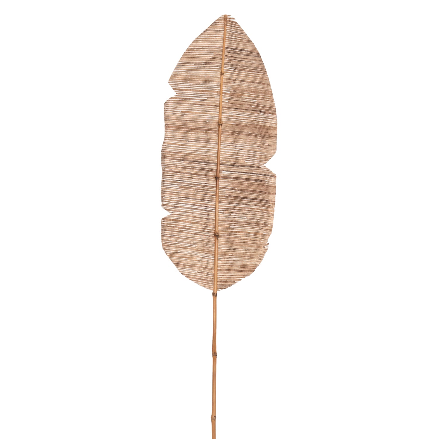 DECORATIVE LEAF ΗΜ7873 WATER HYACINTH IN NATURAL COLORING 32x200x3 cm.