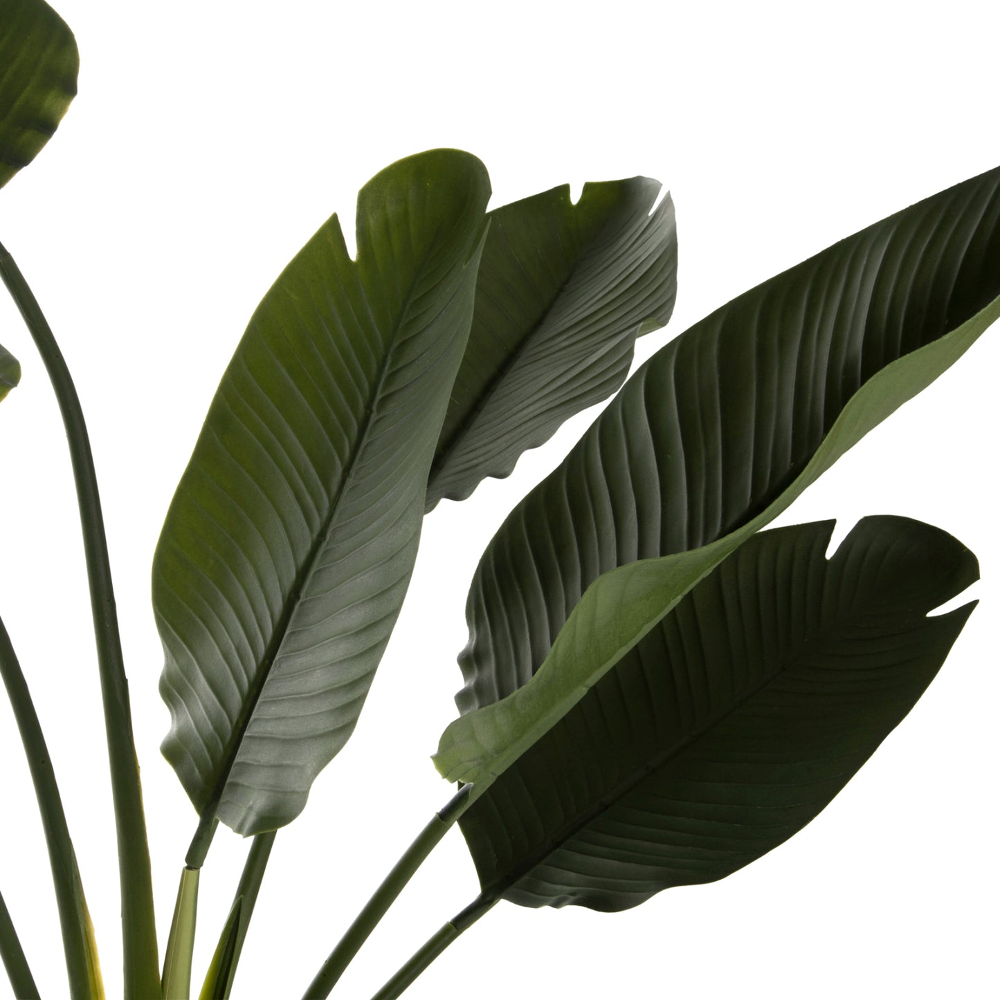 DECORATIVE SYNTHETIC PLANT IN POT HM7981 STRELITZIACEAE Φ17x14,5-137Hcm.