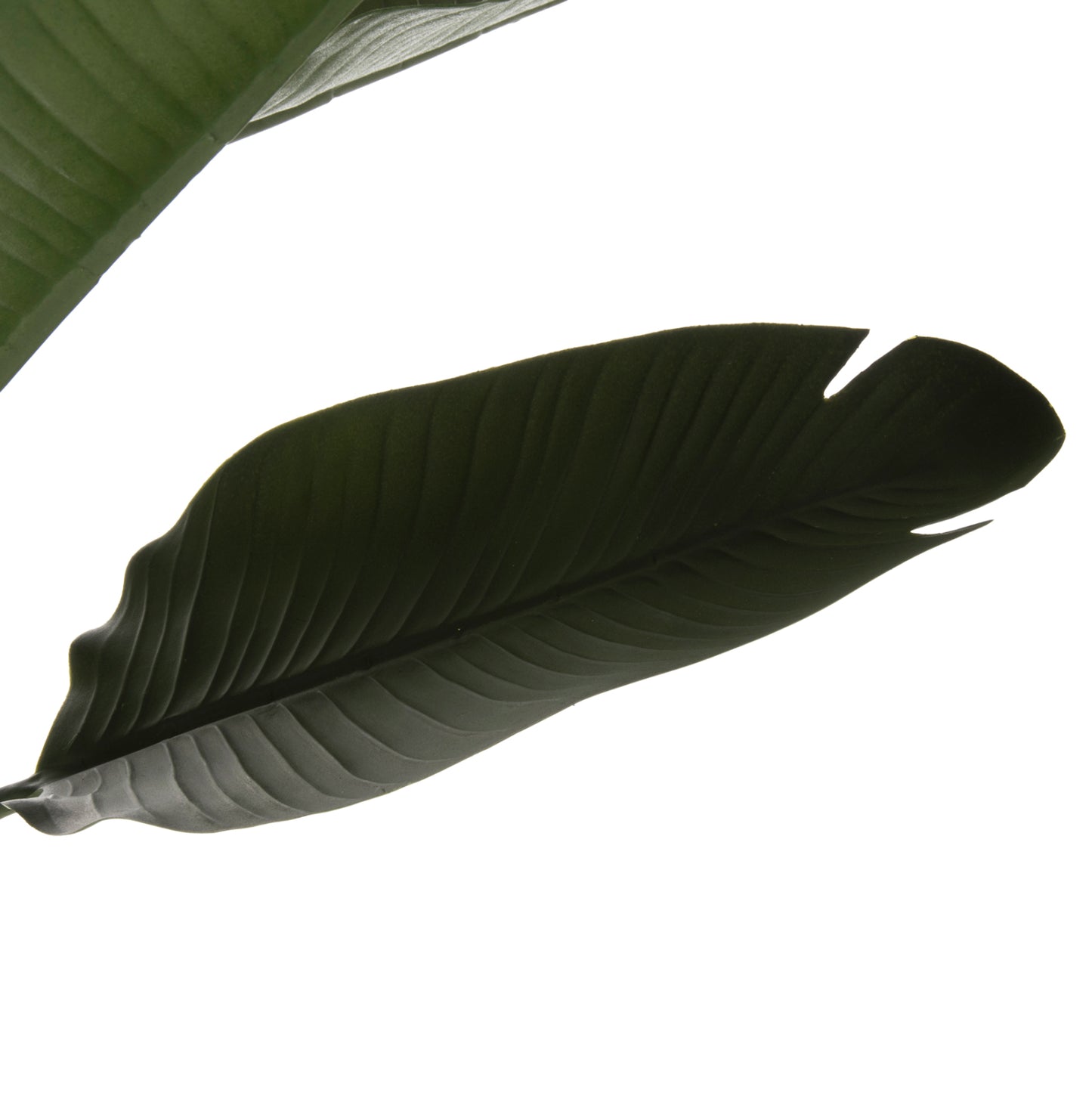 DECORATIVE SYNTHETIC PLANT IN POT HM7982 STRELITZIACEAE Φ17x14,5-150Hcm.