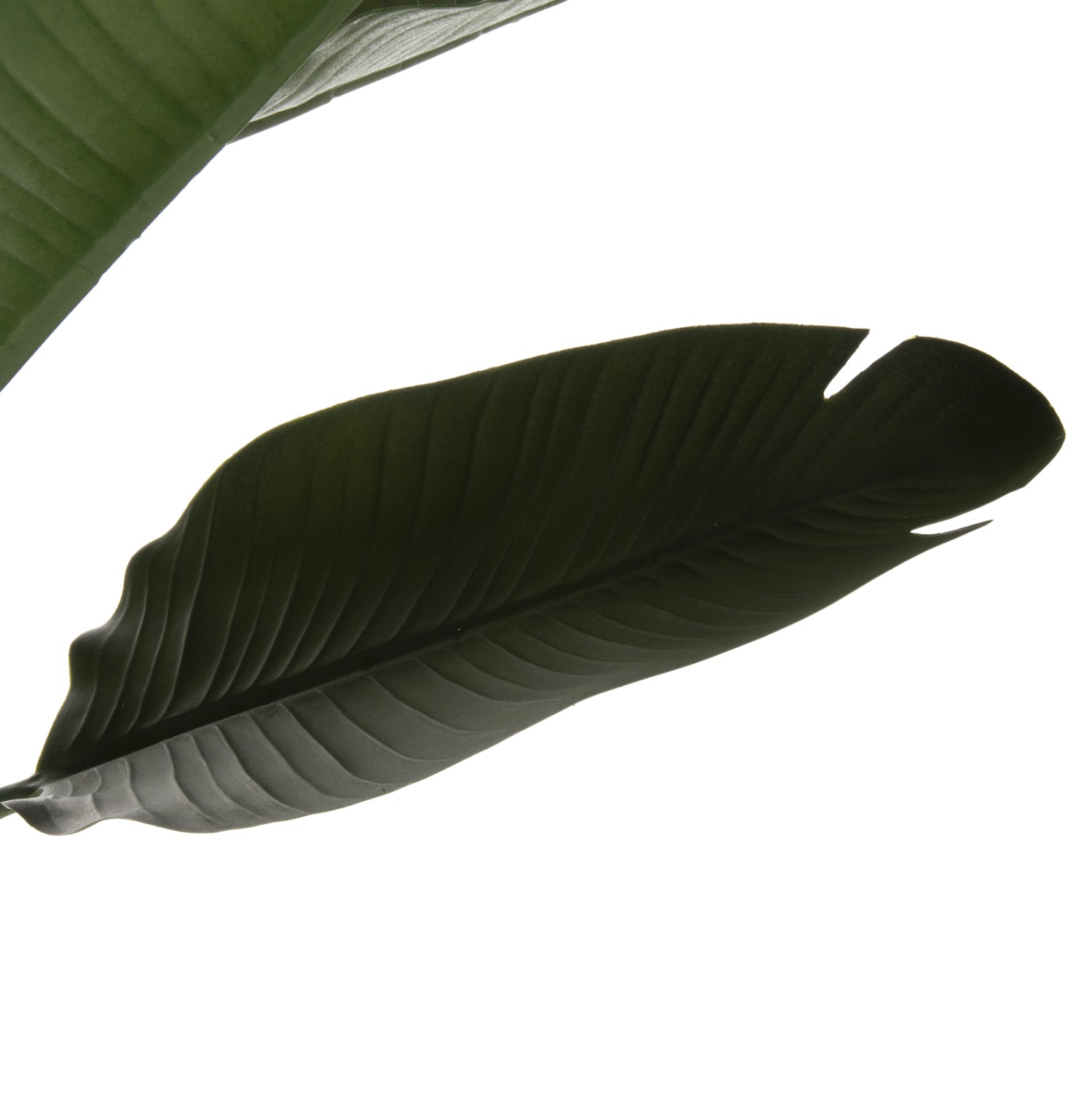 DECORATIVE SYNTHETIC PLANT IN POT HM7982 STRELITZIACEAE Φ17x14,5-150Hcm.