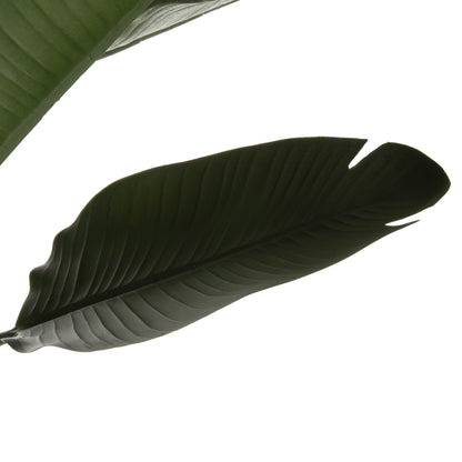 DECORATIVE SYNTHETIC PLANT IN POT HM7982 STRELITZIACEAE Φ17x14,5-150Hcm.