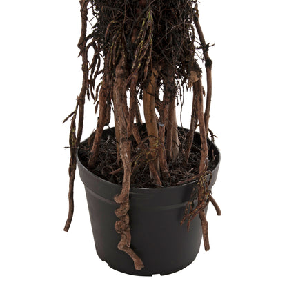 DECORATIVE SYNTHETIC PLANT IN POT HM7988 SISAL TREE Φ23x18-180Hcm.