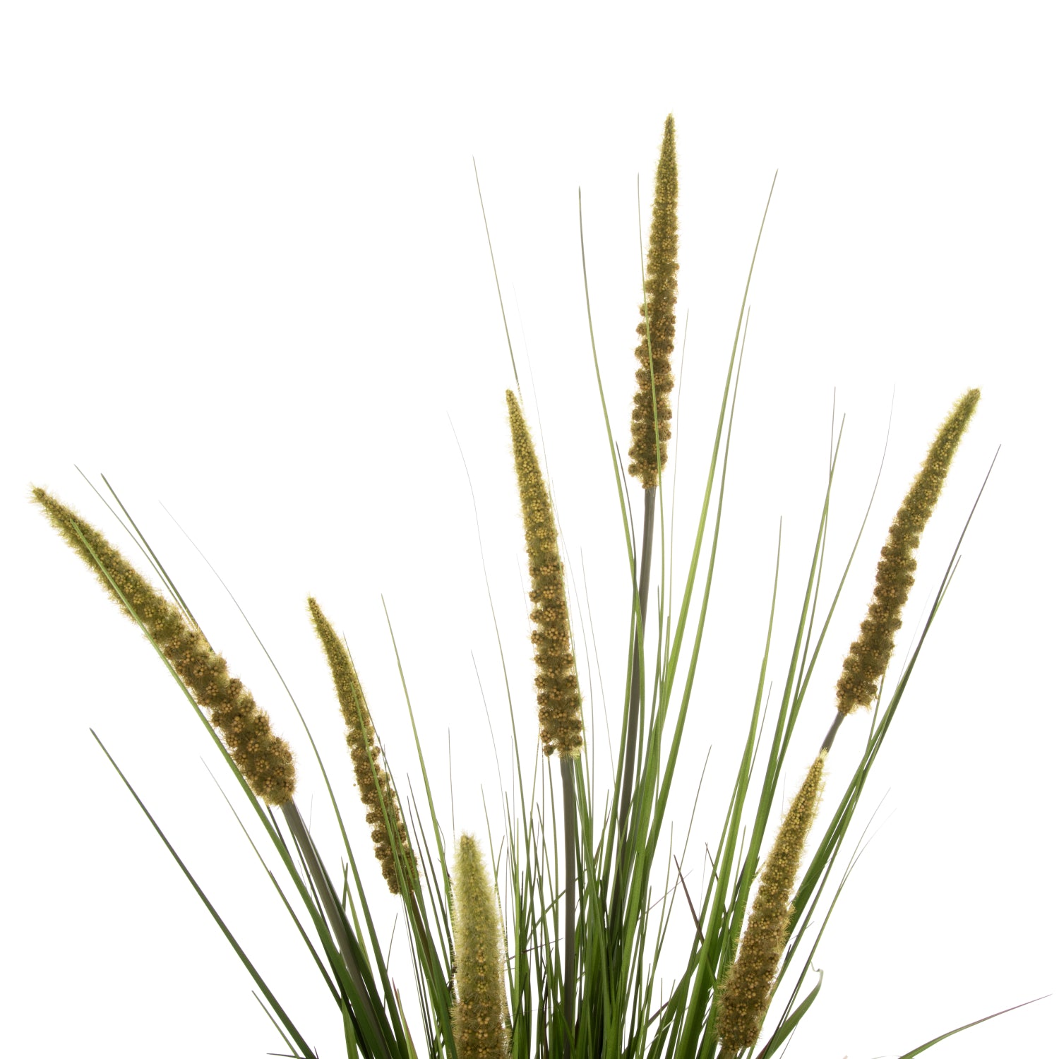DECORATIVE SYNTHETIC PLANT IN POT HM7999 OPHIUROS 130Hcm.