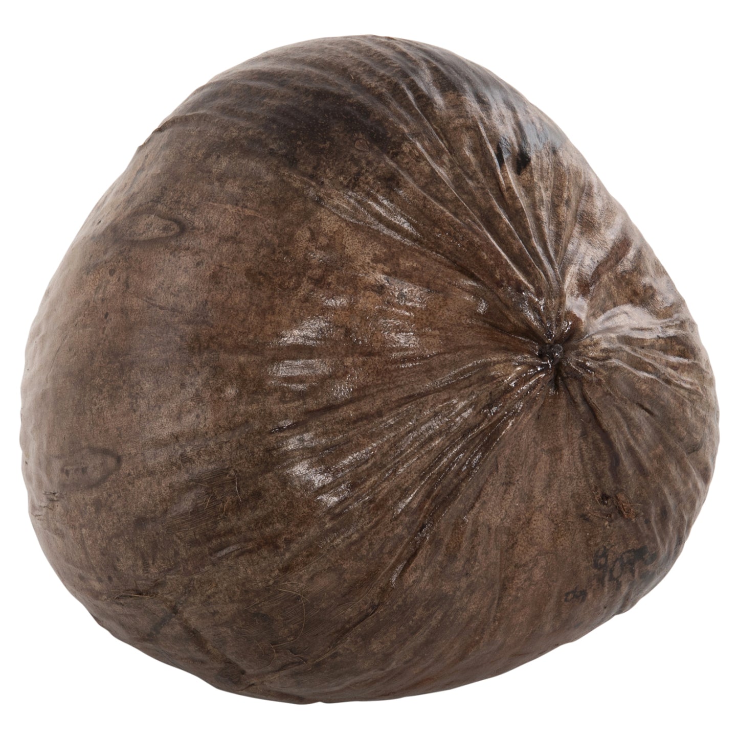TABLE DECORATION HM4326.01 COCONUT IN NATURAL COLOR 20x20x20Hcm.