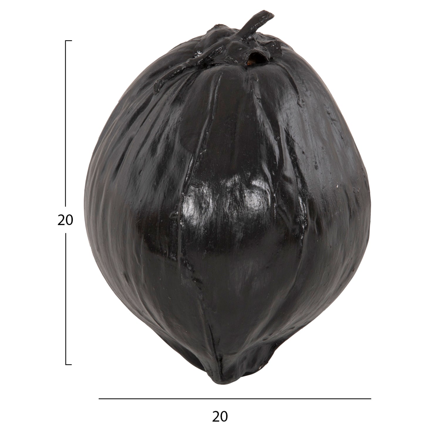 TABLE DECORATION HM4326.02 COCONUT IN BLACK COLOR 20x20x20Hcm.