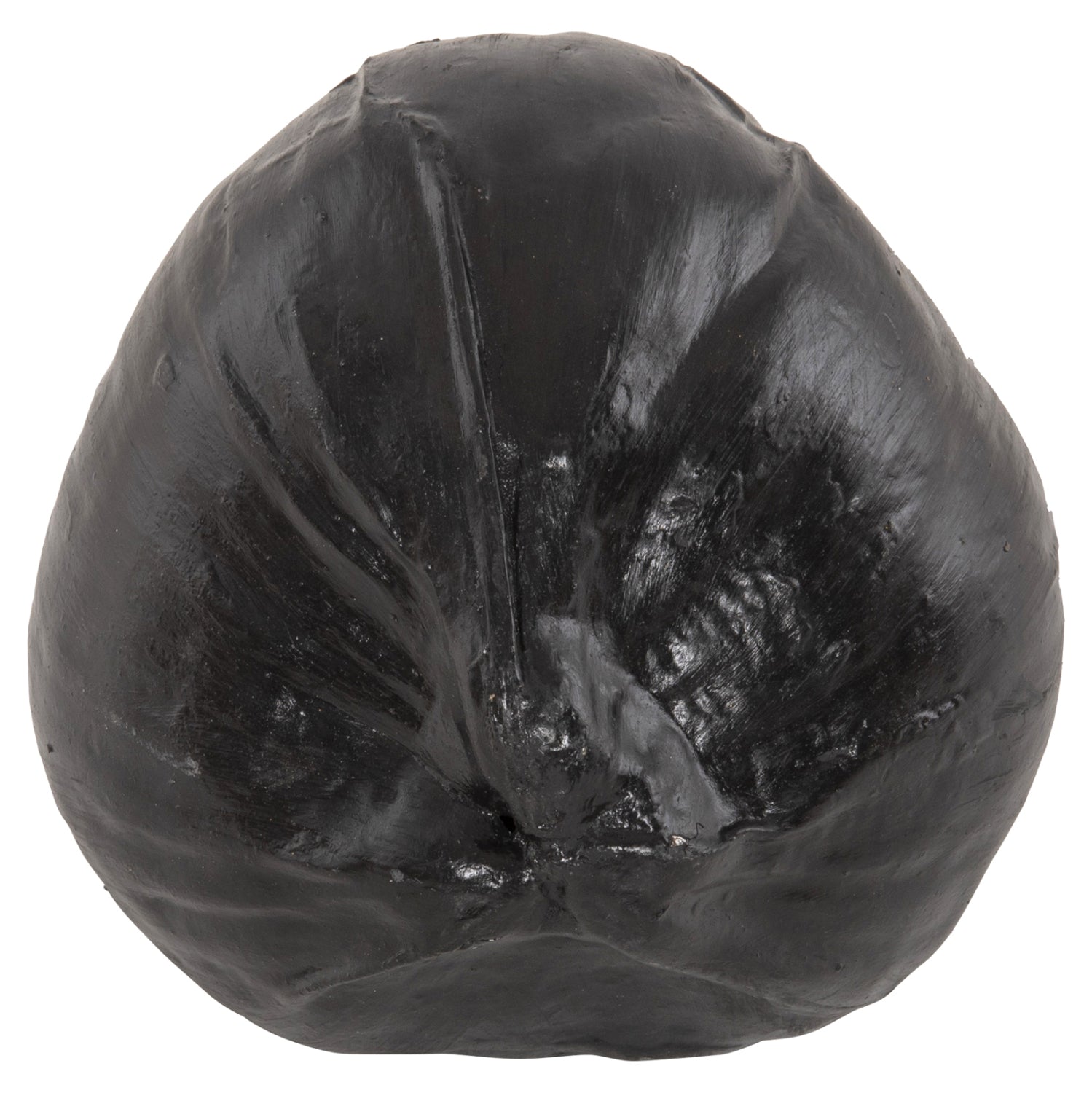 TABLE DECORATION HM4326.02 COCONUT IN BLACK COLOR 20x20x20Hcm.