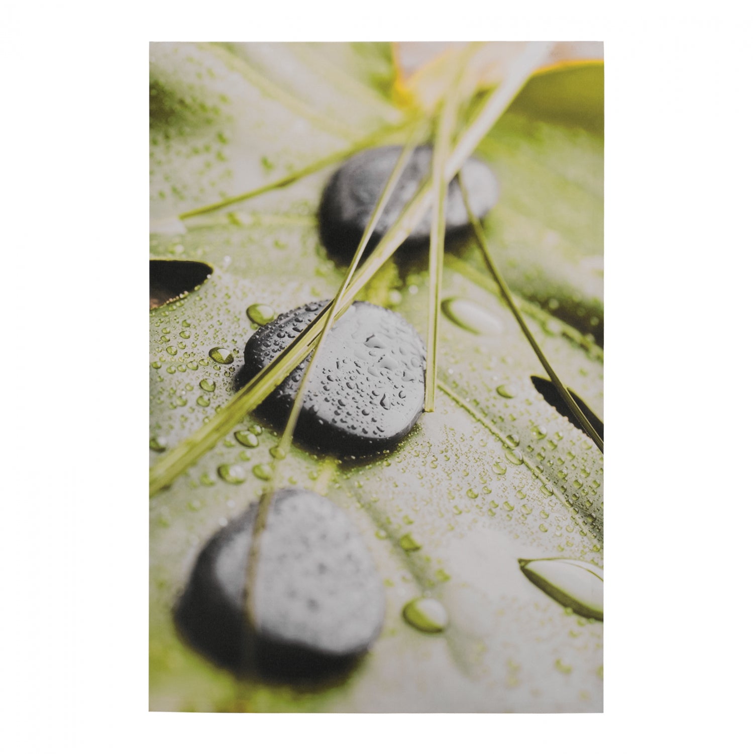 Canvas Stones HM7154.10 60X90X2.5 cm.