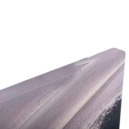 WALL PAINTING SERIES GOBI HM4856 PRINTED CANVAS 98x2,5(thickness)x68Hcm.