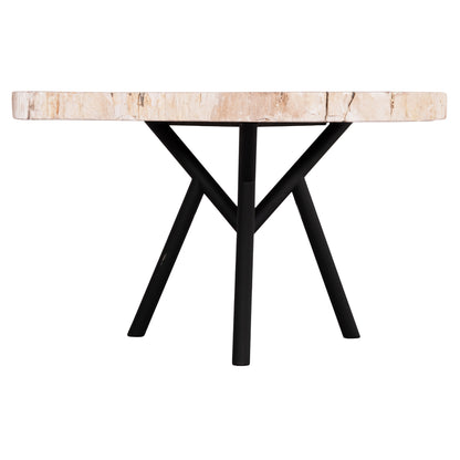 COFFEE TABLE SAMAN HM9930 METAL BLACK LEGS-PETRIFIED WOOD TOP 76x53x45Hcm.